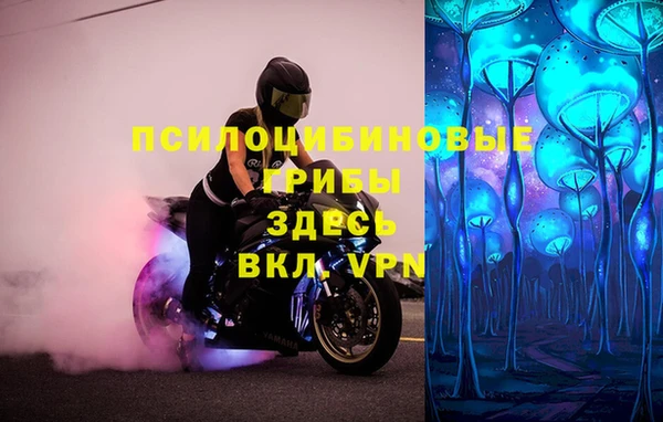 прущая мука Магас