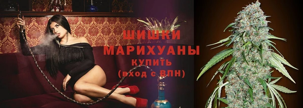 гашик Магадан