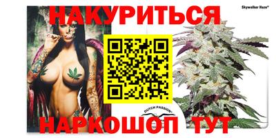 гидра Волгодонск