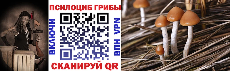 Псилоцибиновые грибы Magic Shrooms  Стерлитамак 