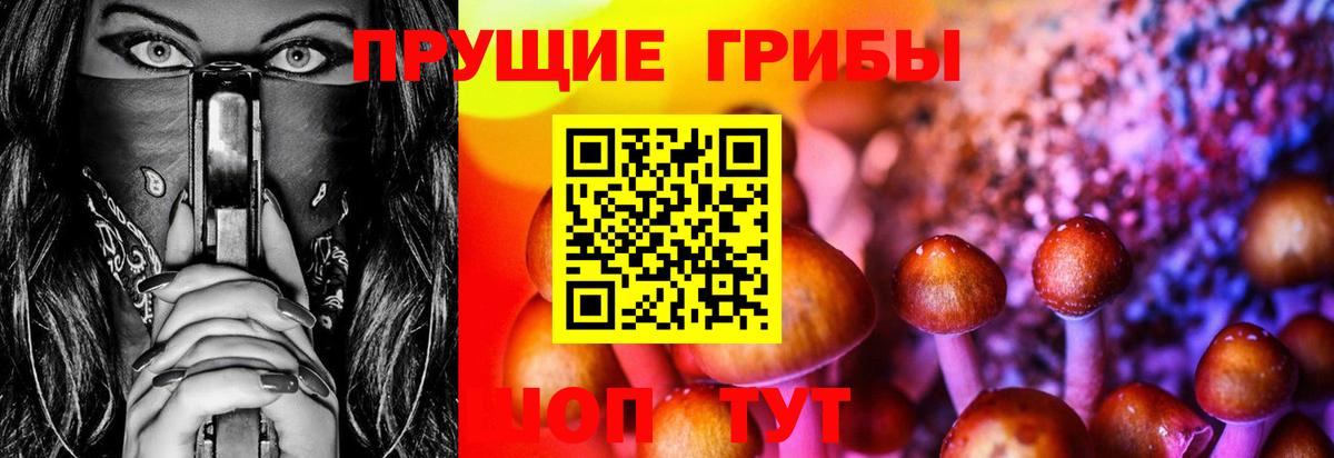 Галлюциногенные грибы GOLDEN TEACHER Стерлитамак