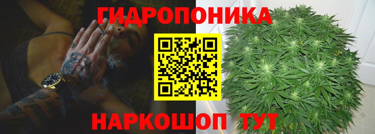 Канабис тримм  Вход с VPN  Канабис сатива  Стерлитамак  Шишки марихуана гибрид 